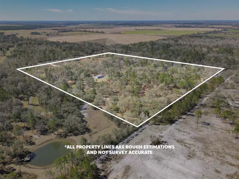 3949 184TH ST, Wellborn, FL 32094