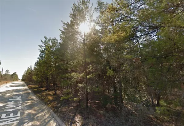 Lot 3 NE 130TH AVE, Williston, FL 32696