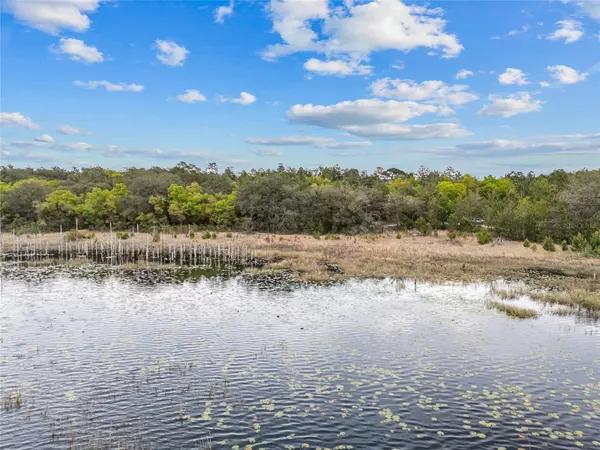 TBD N COUNTY ROAD 315,  Melrose,  FL 32666