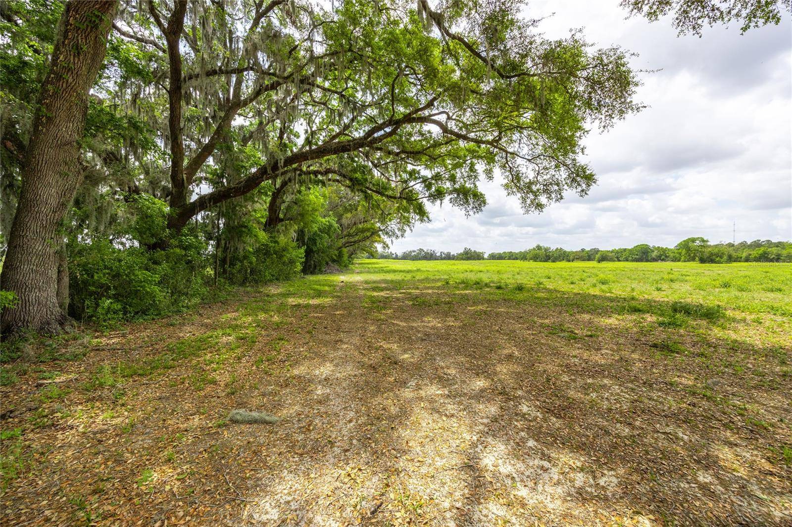 Newberry, FL 32669,TBD SW 220TH DR