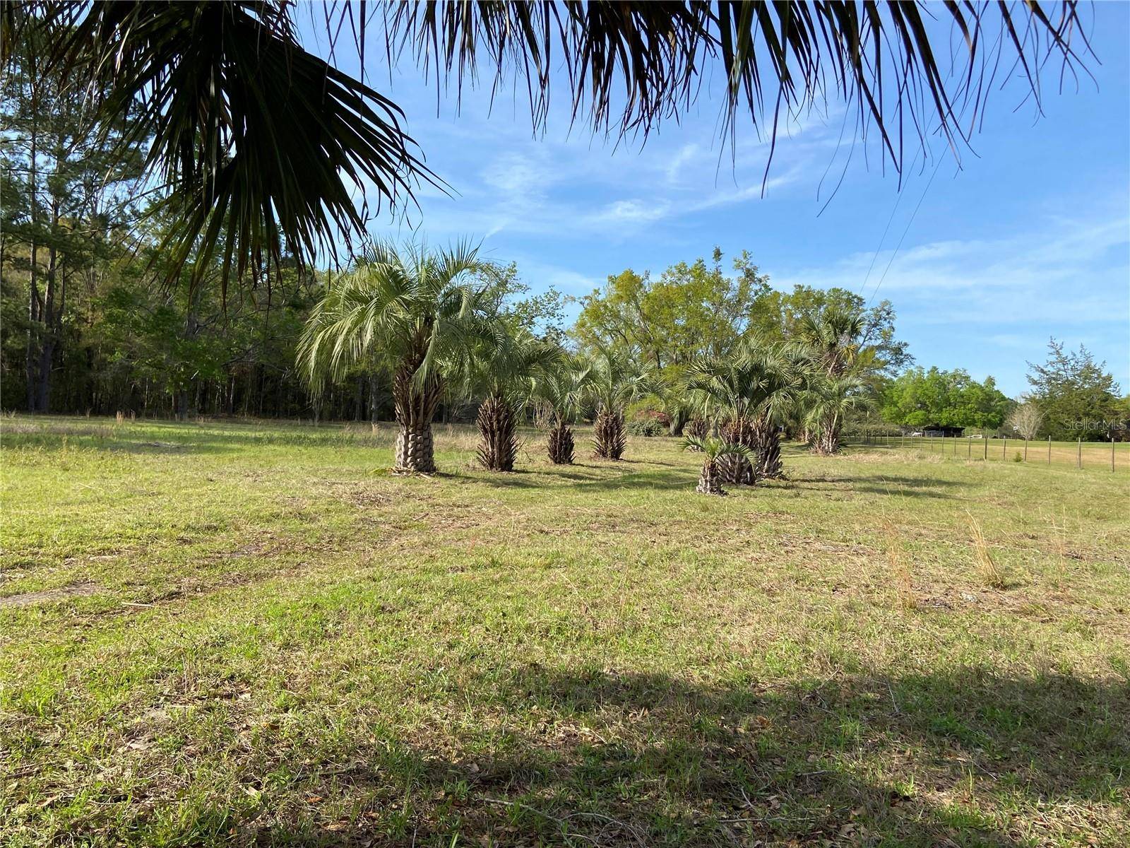 Alachua, FL 32615,23206 NW 102ND AVE