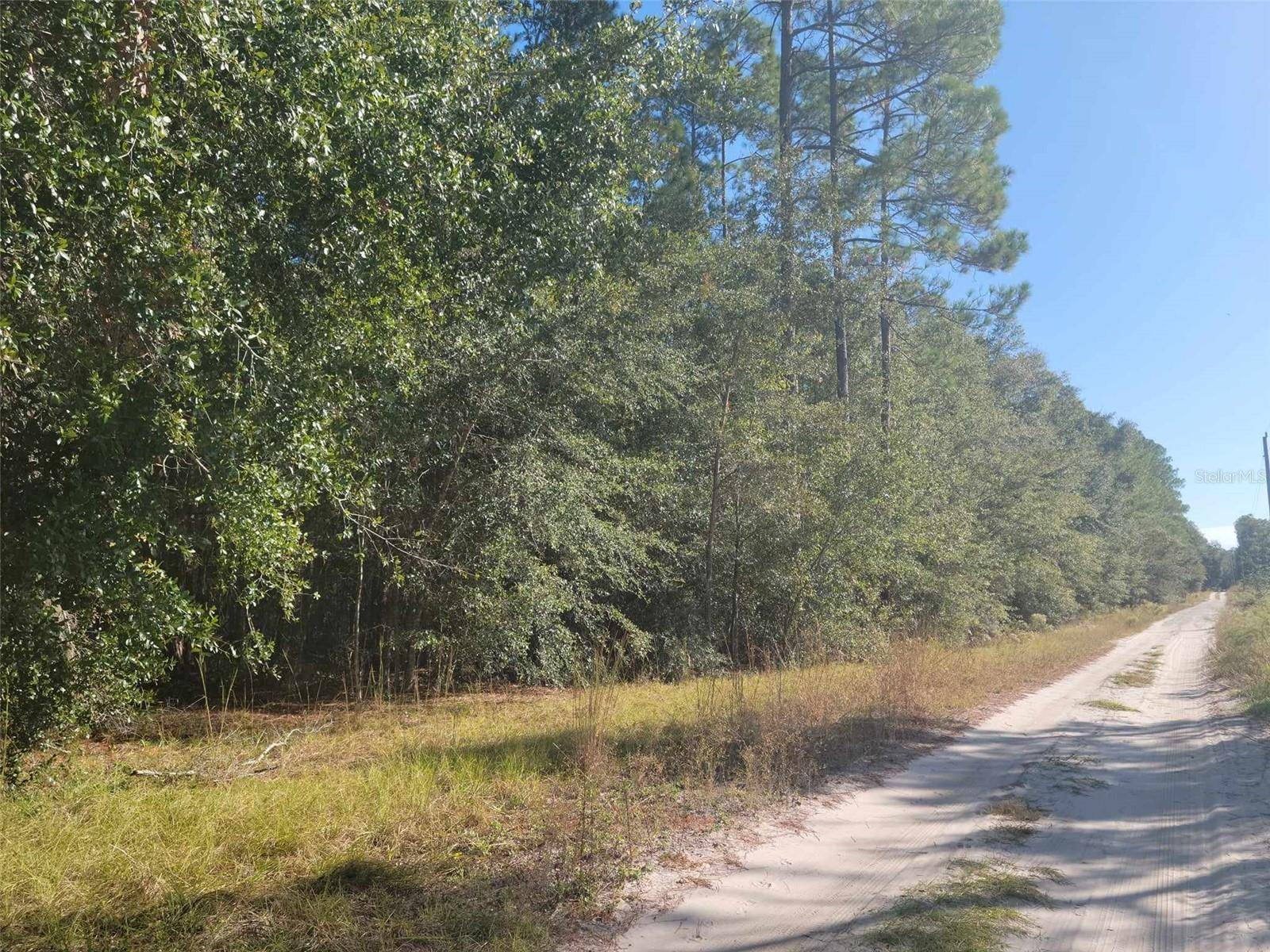 SW 61ST PLACE, Newberry, FL 32669