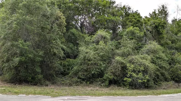 00 SE 23RD LN,  Trenton,  FL 32693