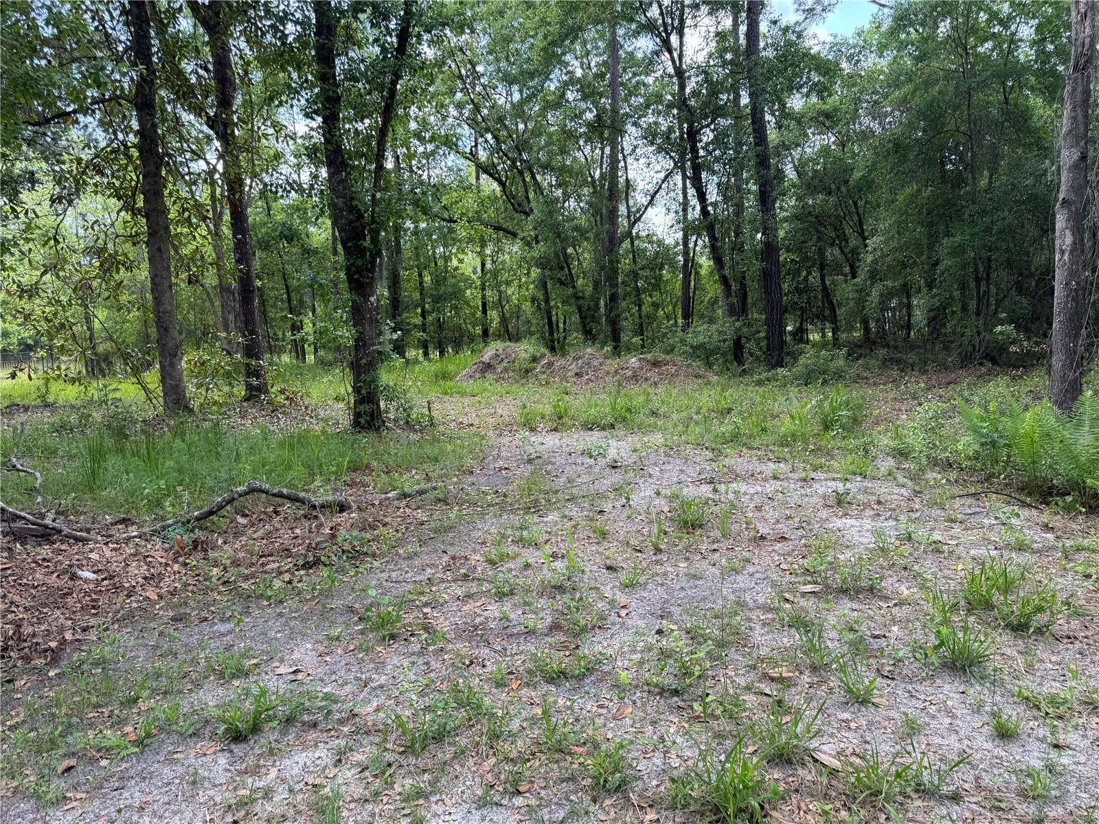 Waldo, FL 32694,15259 NE 143RD TER