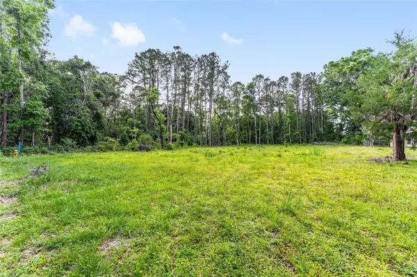 Unassigned NW 164TH PL, Alachua, FL 32615