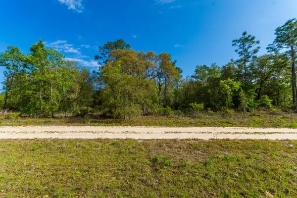 Williston, FL 32696,NE 65 ST