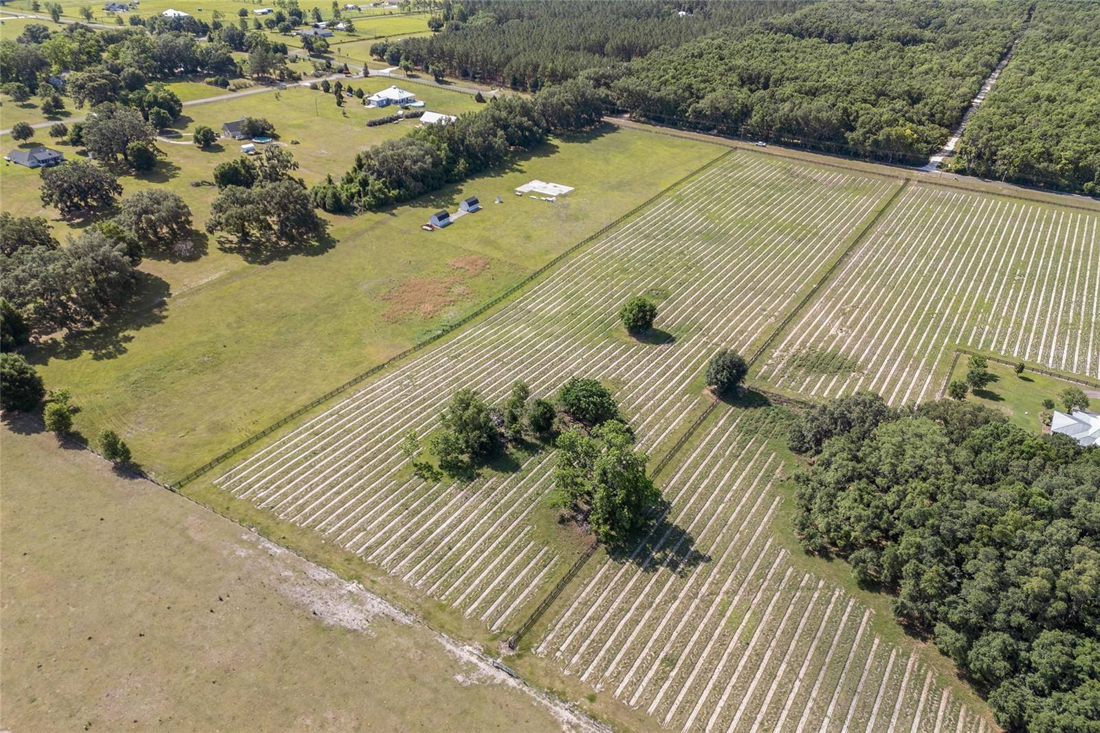 High Springs, FL 32643,0000 NW 142ND AVE