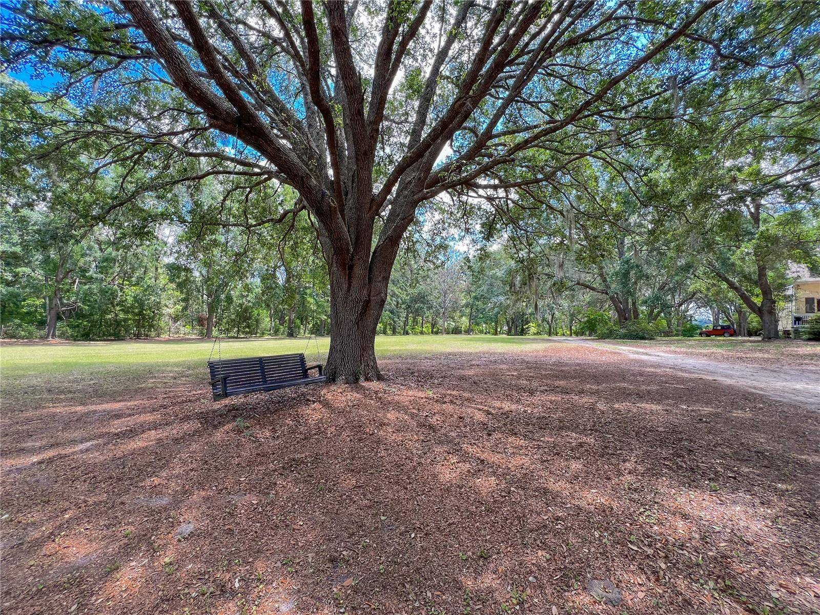 Alachua, FL 32615,8115 NW 236TH ST