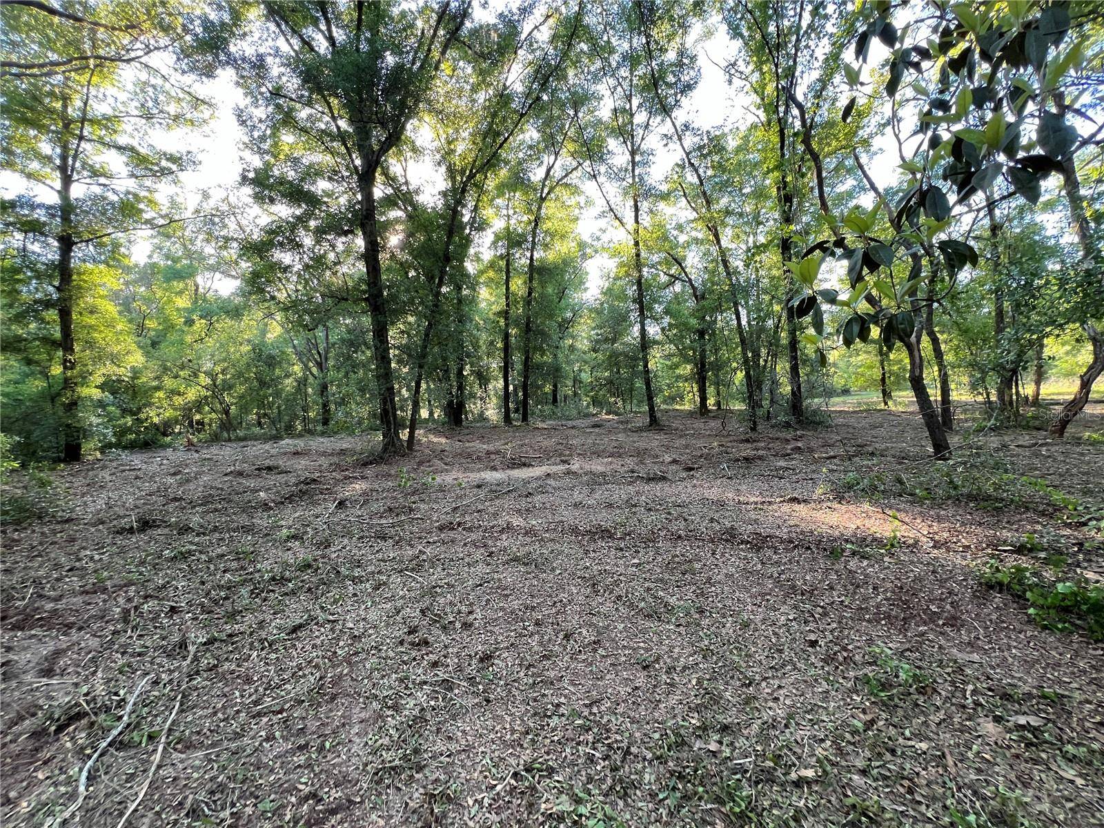 Bronson, FL 32621,TBD NE 126TH ST #A
