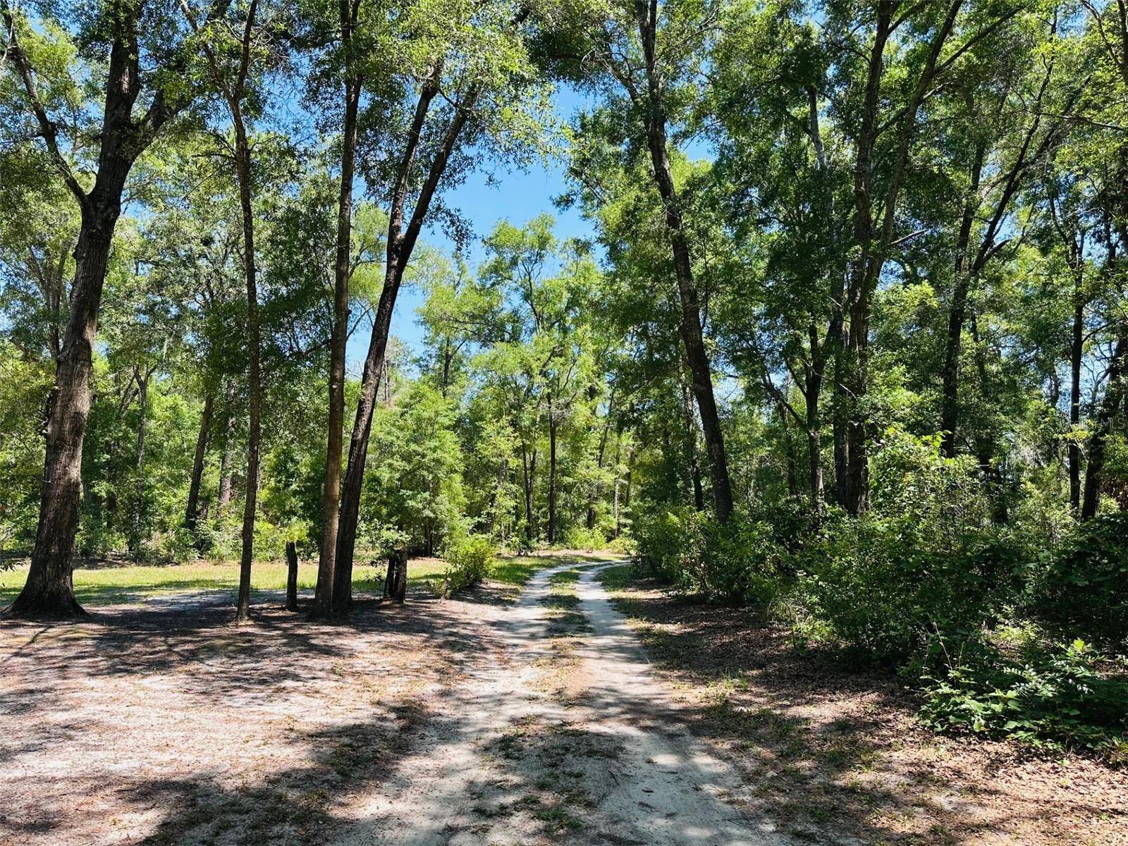 Chiefland, FL 32626,6550 NW 73RD LN