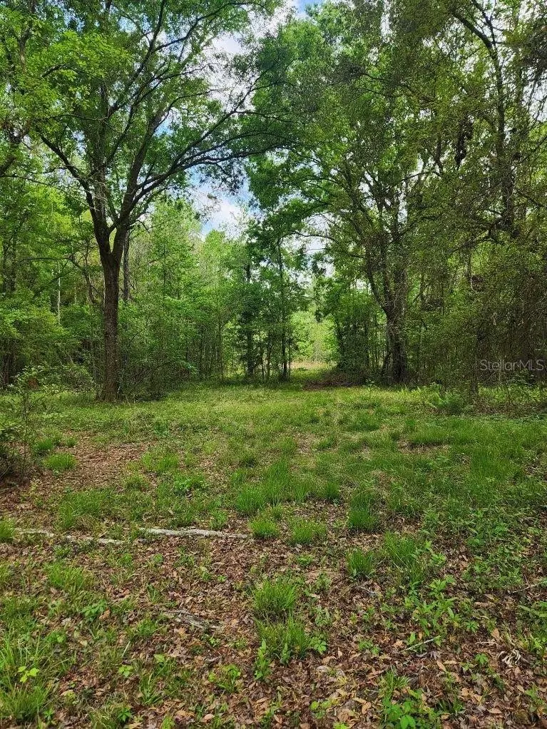 Alachua, FL 32615,4611 NW 244TH AVE