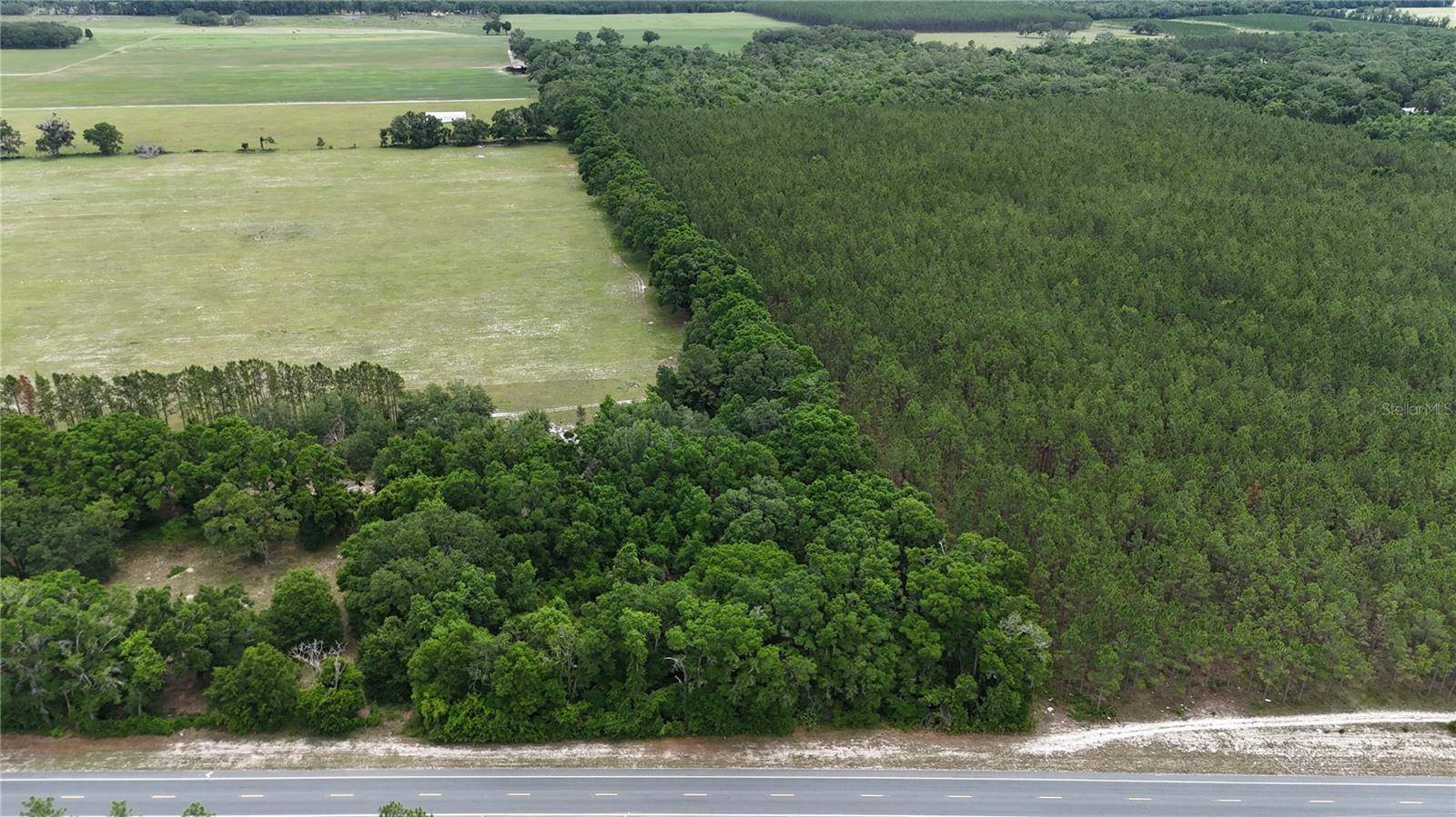 Old Town, FL 32680,00 NE 349 HWY