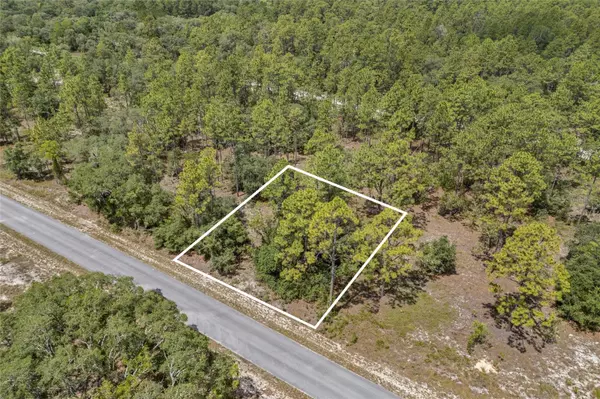 Dunnellon, FL 34431,SW 134 TER