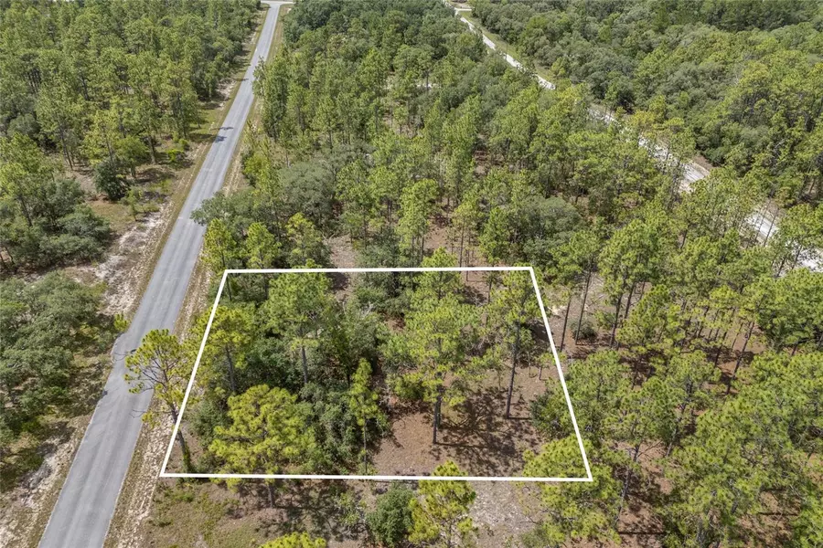 SW 134 TER, Dunnellon, FL 34431