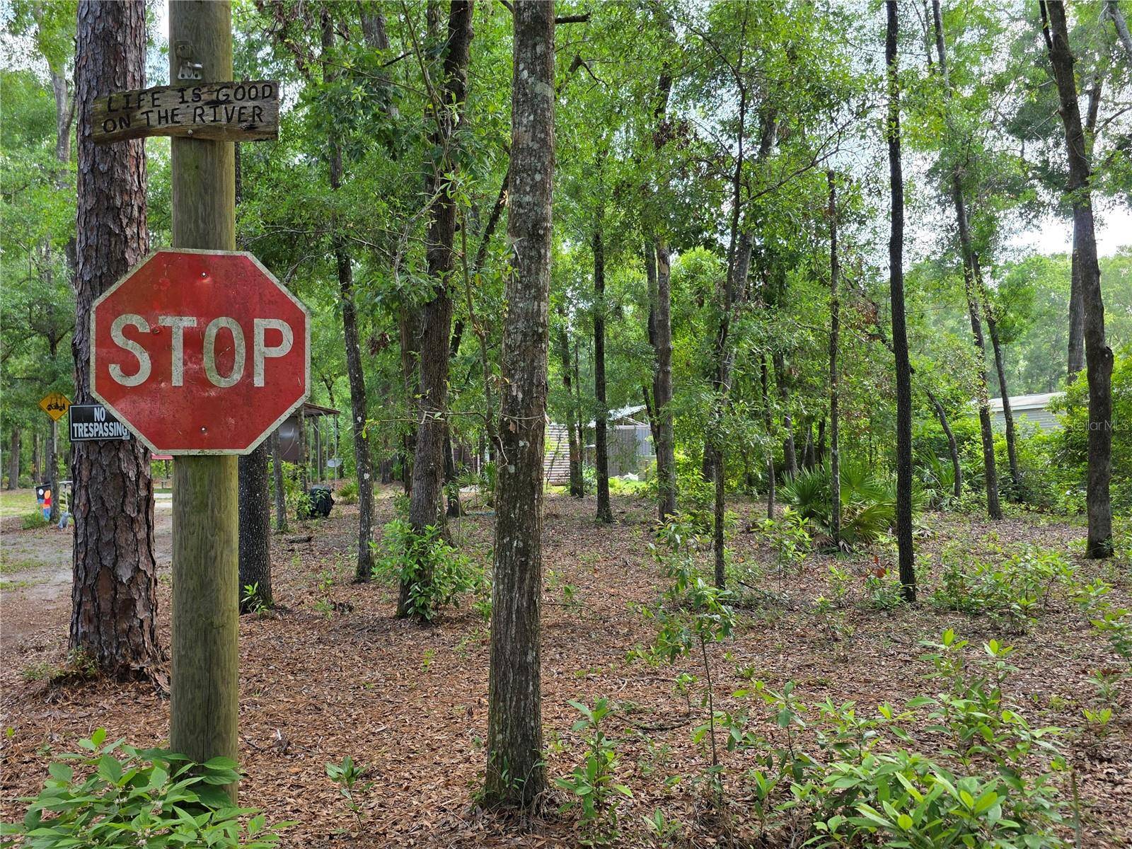 Branford, FL 32008,TBD 284TH ST