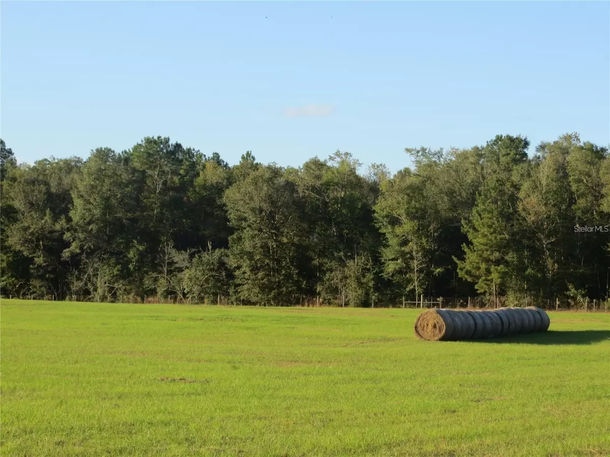 Alachua, FL 32615,9714 NW 236TH TER