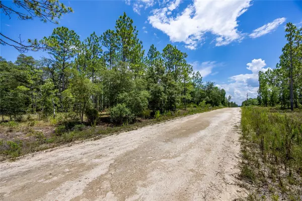 Williston, FL 32696,NE 150TH CT
