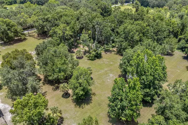 Micanopy, FL 32667,20797 N HWY 329
