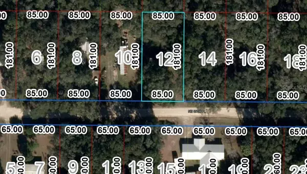 Bronson, FL 32621,10267 NE 69TH PL