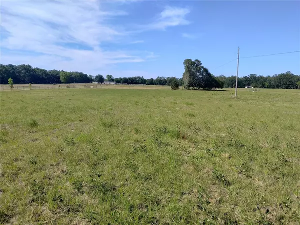 Mc Alpin, FL 32062,8335 168TH ST