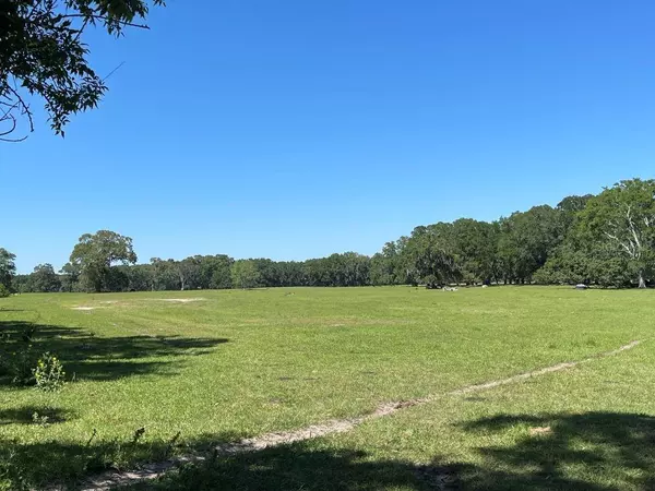 Alachua, FL 32615,19450 Block NW 94TH AVE