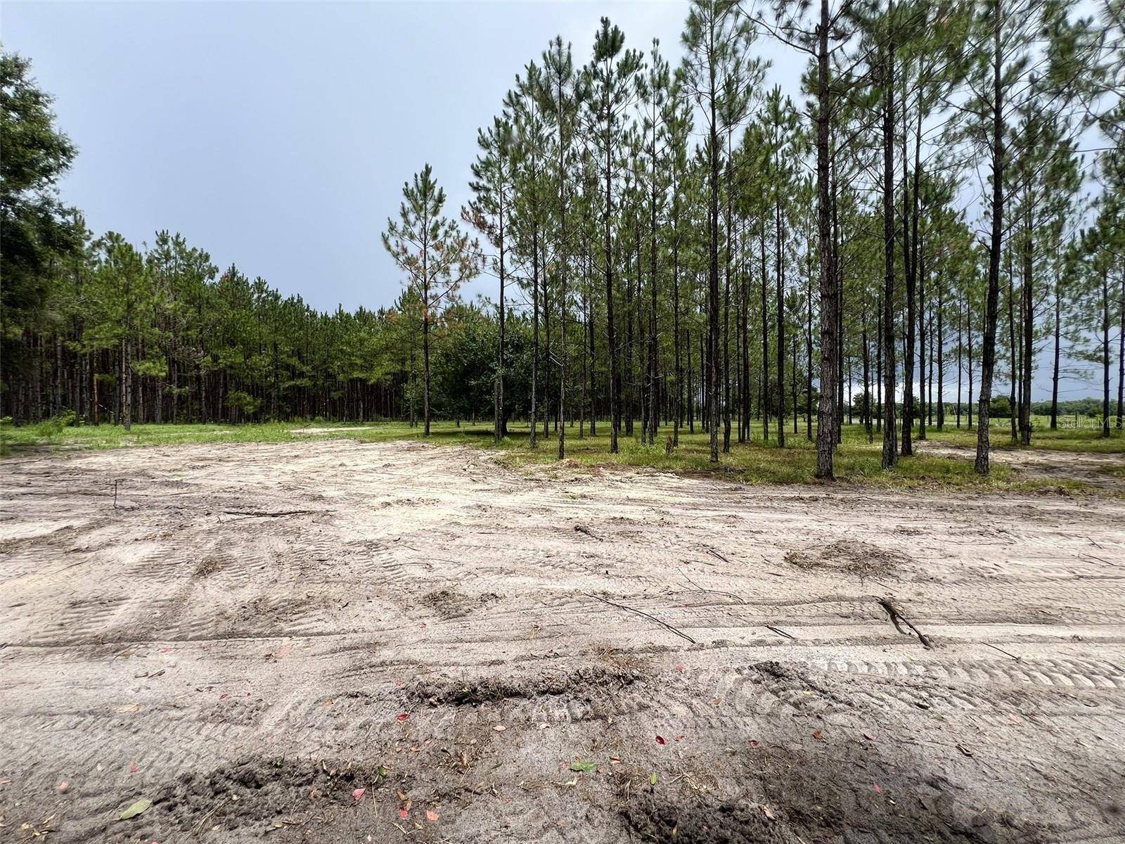Branford, FL 32008,1101 NE 340 HWY