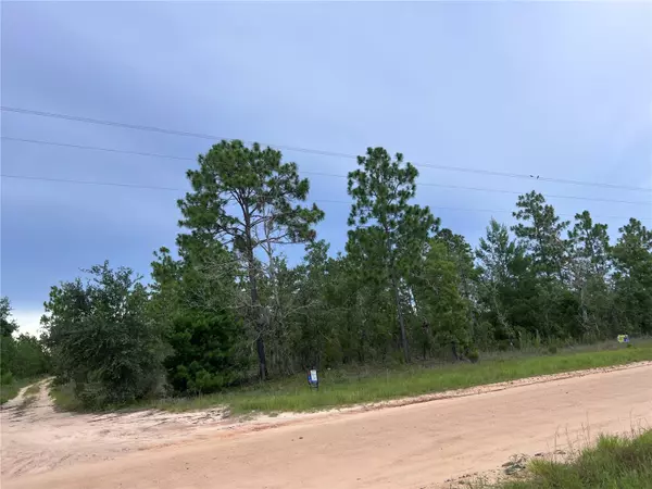 Hawthorne, FL 32640,2104 MAIN ST