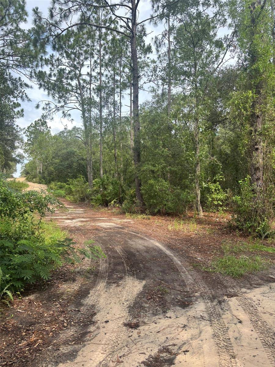 Bronson, FL 32621,72ND PL NE