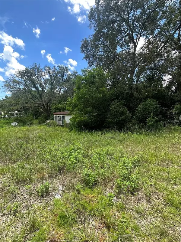 15950 NE 4TH PL, Williston, FL 32696