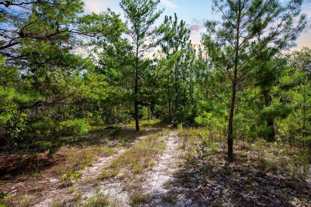 Keystone Heights, FL 32656,6474 GOLDEN OAK LN