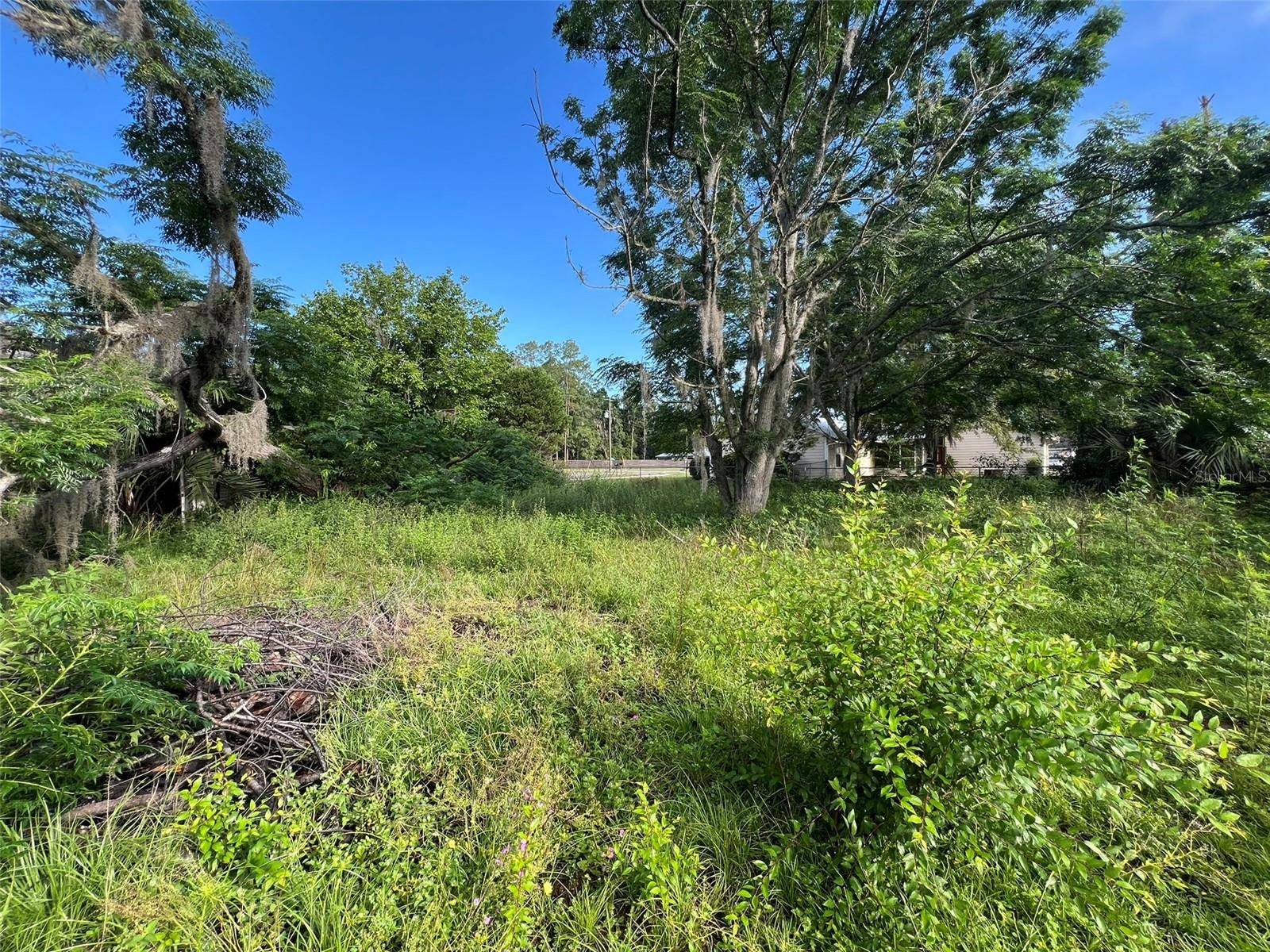 Brooker, FL 32622,12168 CEDAR DR