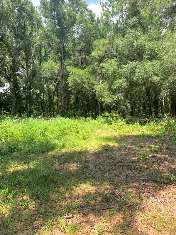 Trenton, FL 32693,SW 19TH CIR