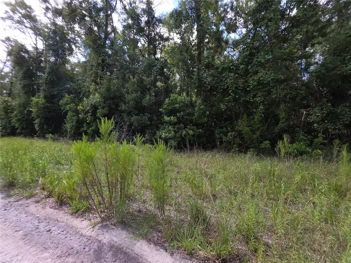 Branford, FL 32008,280 TER