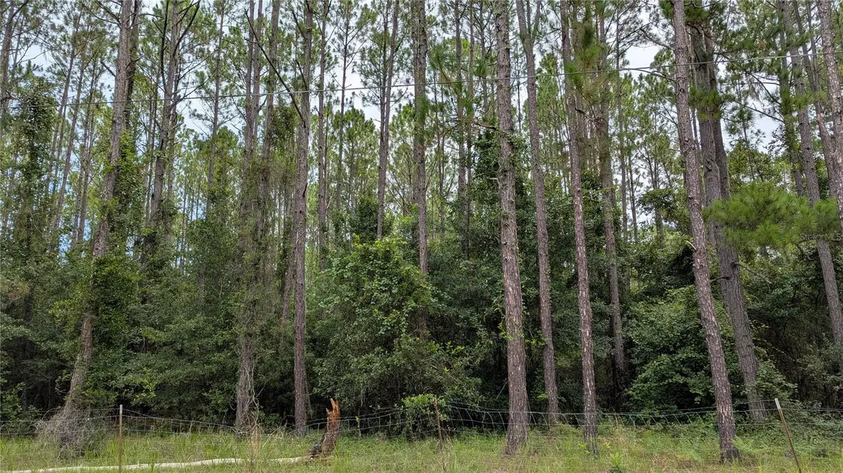Gainesville, FL 32641,TBD SE 3RD PL