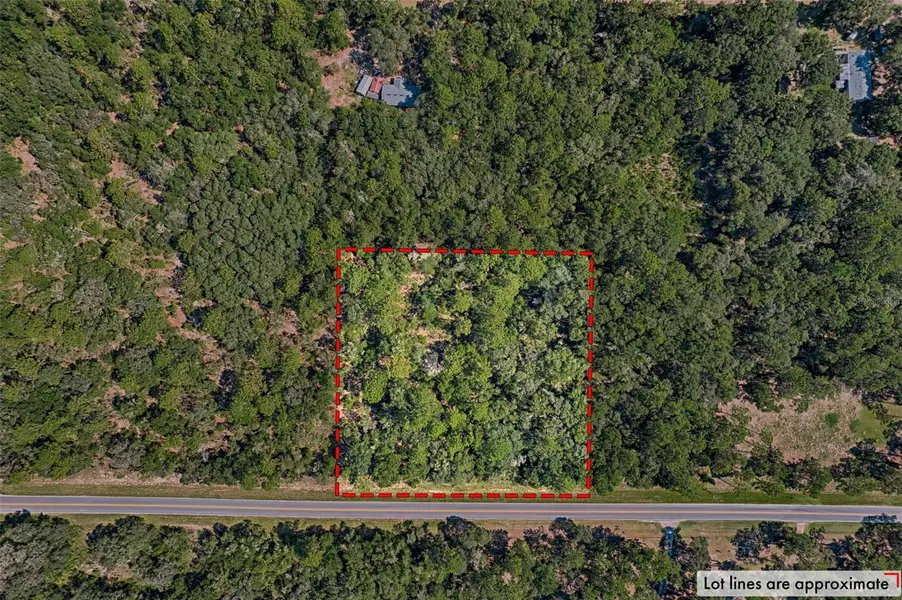 TBD NE 80TH ST, Bronson, FL 32621