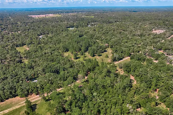 Bronson, FL 32621,NE 82ND PL
