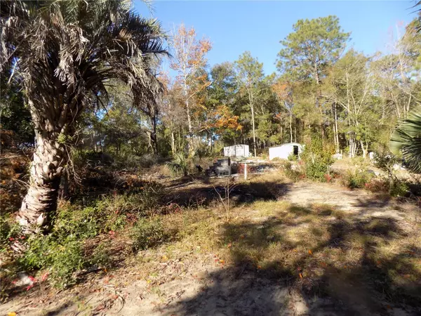 11090 107 TER, Archer, FL 32618