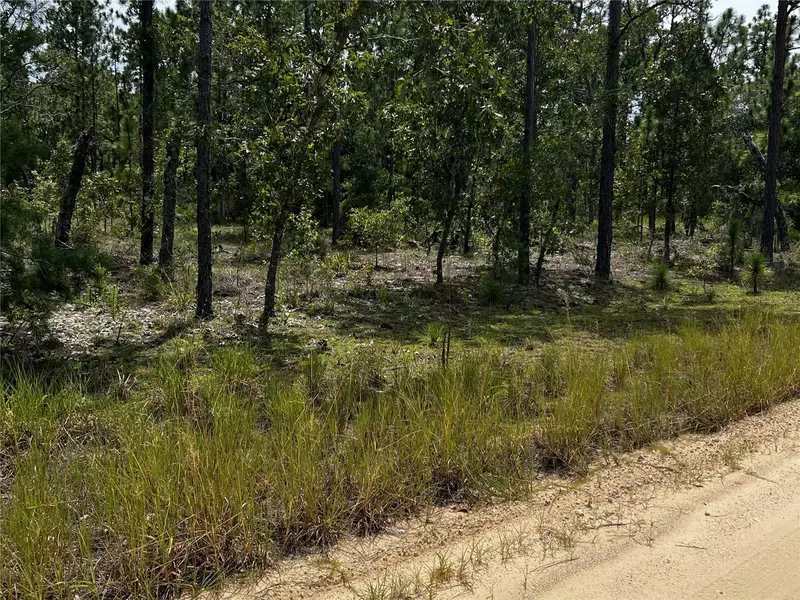 137 BEULAH DR, Hawthorne, FL 32640