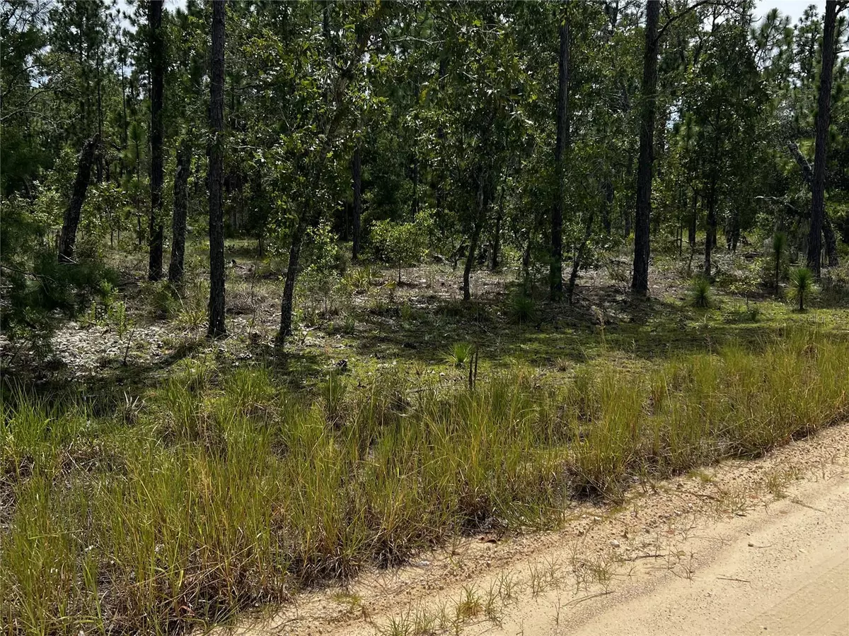 Hawthorne, FL 32640,137 BEULAH DR