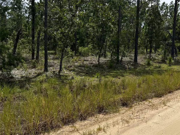 137 BEULAH DR, Hawthorne, FL 32640