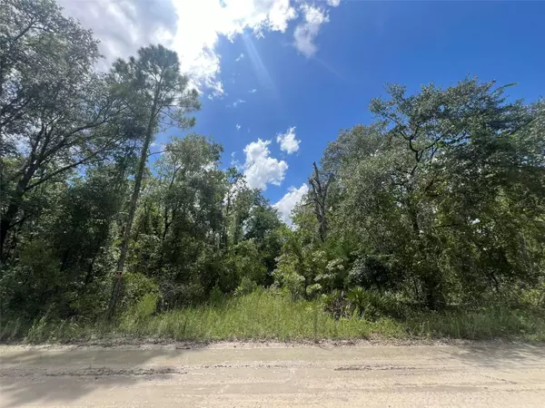 Lot 11 NW 11TH AVE, Bell, FL 32619