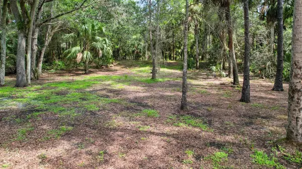 Yankeetown, FL 34498,3931 SE 193RD PL