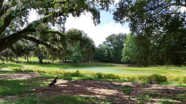 SW COUNTY ROAD 778, Fort White, FL 32038