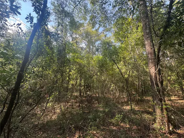 Fort White, FL 32038,LOT 43 SW KENTUCKY ST