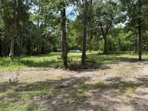 Waldo, FL 32694,TBD (025) NE 144TH TER