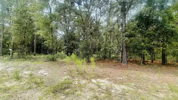 Bronson, FL 32621,Lot 8 NE 102ND CT