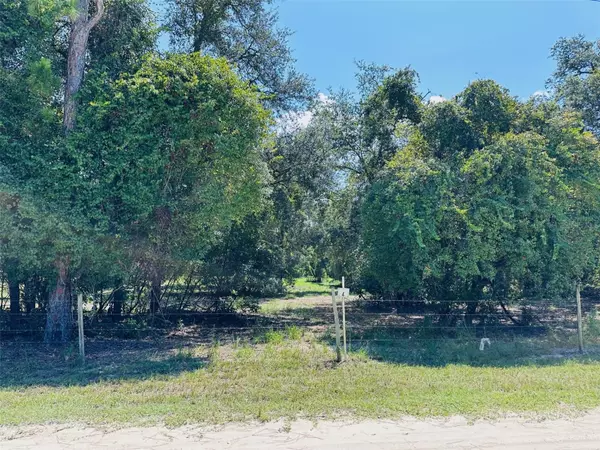 Chiefland, FL 32626,0 NW 100 AVE