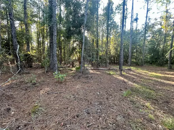 Hawthorne, FL 32640,000000 SE 225TH ST