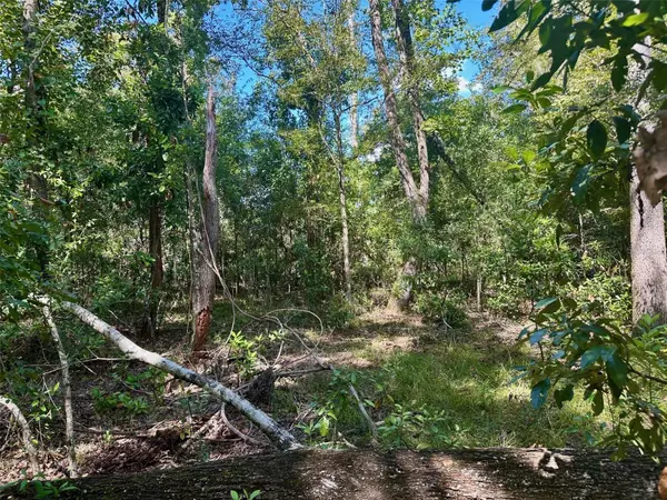 Branford, FL 32008,NE 22ND CT