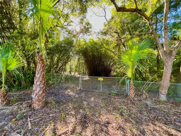 Melrose, FL 32666,TROUT ST